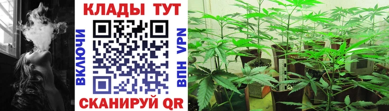 Купить закладку Экстази  A-PVP  ГАШ  МЕФ  Cocaine  Каннабис  Любим