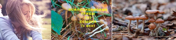 бутик Пестово
