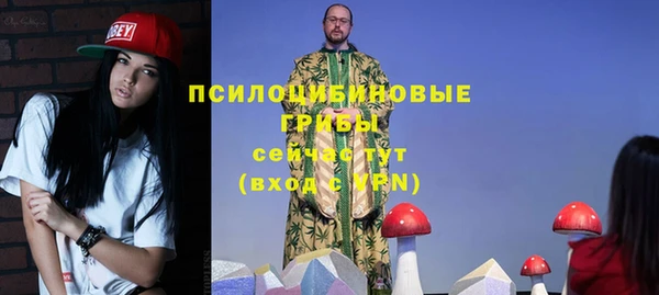 ешки Пересвет