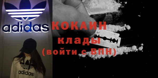 ешки Пересвет