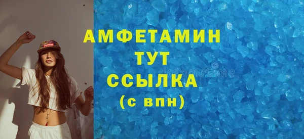 ешки Пересвет