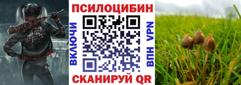 Галлюциногенные грибы MAGIC MUSHROOMS  Купить где  Любим 